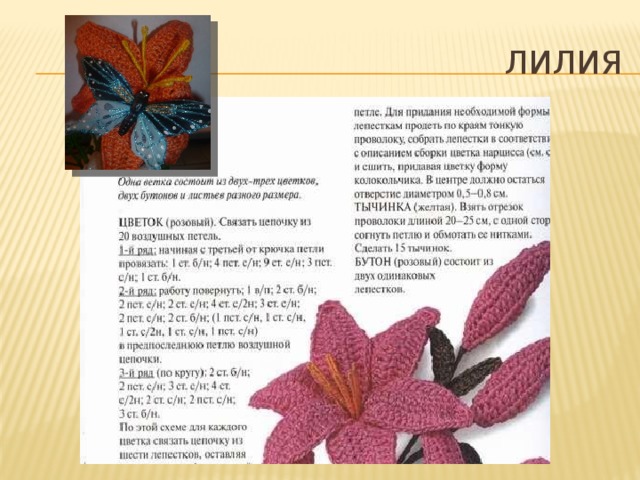 лилия 