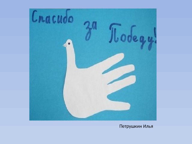 Петрушкин Илья 