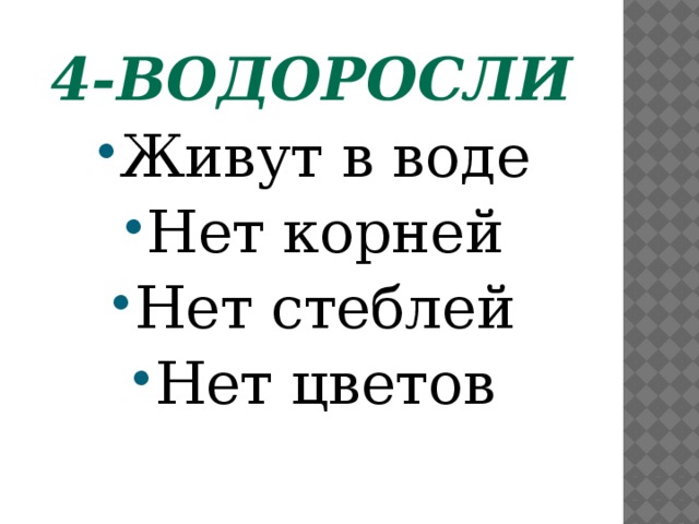 4-водоросли Живут в воде Нет корней Нет стеблей Нет цветов  