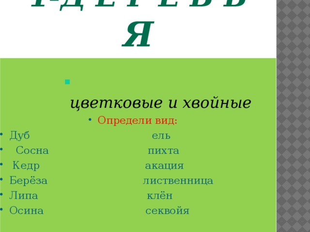 1-Д е р е в ь я  цветковые и хвойные  цветковые и хвойные  цветковые и хвойные  цветковые и хвойные  цветковые и хвойные  цветковые и хвойные  цветковые и хвойные  цветковые и хвойные  цветковые и хвойные Определи вид: Дуб ель  Сосна пихта  Кедр акация Берёза лиственница Липа клён Осина секвойя  