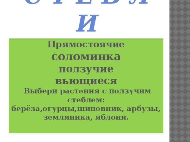С Т Е Б Л И Прямостоячие  соломинка  ползучие  вьющиеся  Выбери растения с ползучим стеблем: берёза,огурцы,шиповник, арбузы, земляника, яблоня.    