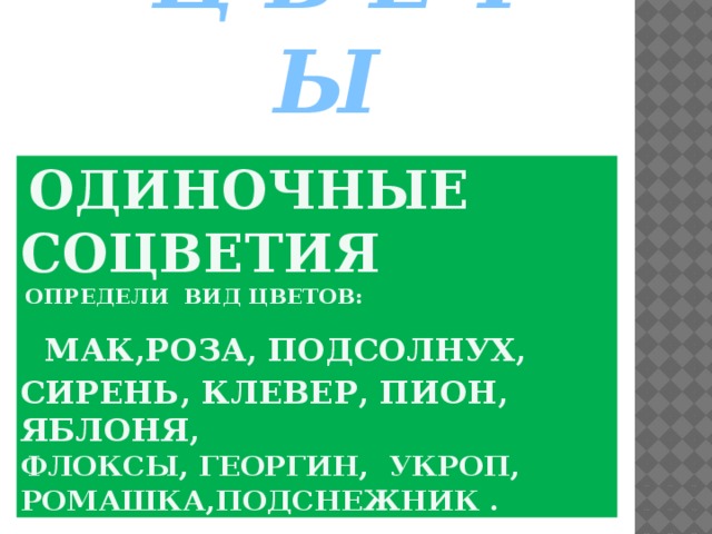  Ц В Е Т Ы  одиночные  соцветия   определи вид цветов:    МАК,РОЗА, ПОДСОЛНУХ, СИРЕНЬ, КЛЕВЕР, пион, яблоня,  ФЛОКСЫ, георгин, укроп, РОМАШКА,ПОДСНЕЖНИК .  