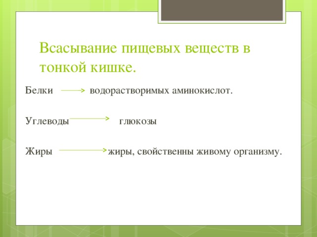 Всасывание пищевых веществ в тонкой кишке. Белки водорастворимых аминокислот. Углеводы глюкозы Жиры жиры, свойственны живому организму. 