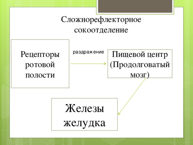 Сложнорефлекторное сокоотделение Рецепторы ротовой полости раздражение Пищевой центр (Продолговатый мозг) Железы желудка 
