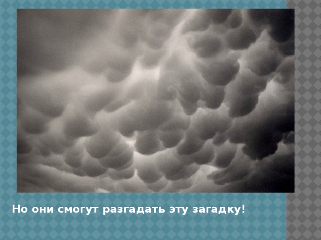 Но они смогут разгадать эту загадку. Но они смогут разгадать эту загадку!