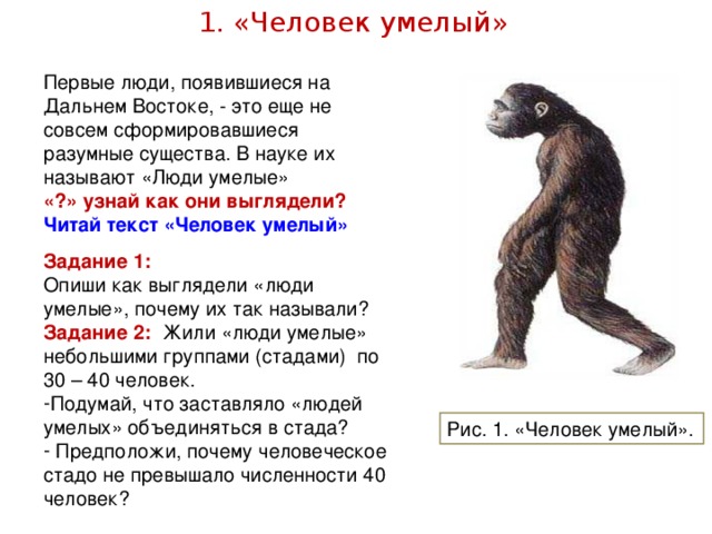 1. «Человек умелый» Первые люди, появившиеся на Дальнем Востоке, - это еще не совсем сформировавшиеся разумные существа. В науке их называют «Люди умелые» «?» узнай как они выглядели? Читай текст «Человек умелый» Задание 1: Опиши как выглядели «люди умелые», почему их так называли? Задание 2:  Жили «люди умелые» небольшими группами (стадами) по 30 – 40 человек. Подумай, что заставляло «людей умелых» объединяться в стада?  Предположи, почему человеческое стадо не превышало численности 40 человек? Рис. 1. «Человек умелый».
