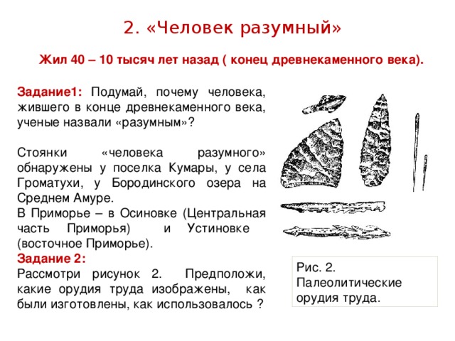 2. «Человек разумный» Жил 40 – 10 тысяч лет назад ( конец древнекаменного века). Задание1:  Подумай, почему человека, жившего в конце древнекаменного века, ученые назвали «разумным»? Стоянки «человека разумного» обнаружены у поселка Кумары, у села Громатухи, у Бородинского озера на Среднем Амуре. В Приморье – в Осиновке (Центральная часть Приморья) и Устиновке (восточное Приморье). Задание 2: Рассмотри рисунок 2. Предположи, какие орудия труда изображены, как были изготовлены, как использовалось ? Рис. 2. Палеолитические орудия труда.