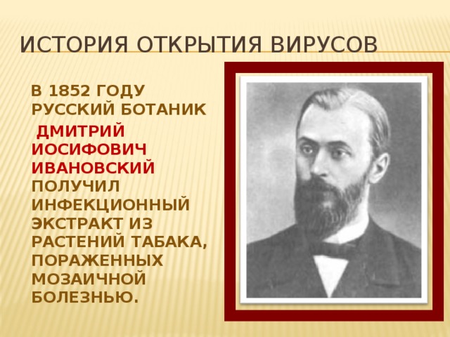 История открытия вирусов В 1852 году русский ботаник  Дмитрий Иосифович Ивановский получил инфекционный экстракт из растений табака, пораженных мозаичной болезнью.