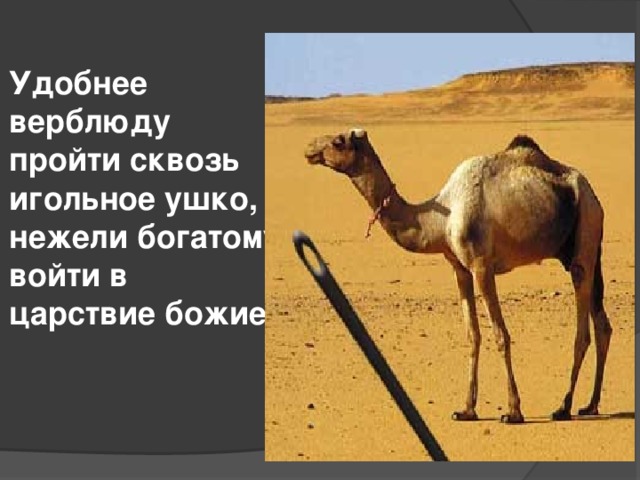 Легче верблюду пройти через игольное ушко. Верблюд и игольное ушко. Удобнее верблюду пройти сквозь игольные уши. Верблюд через игольное ушко. Верблюд пролезет в игольное ушко.