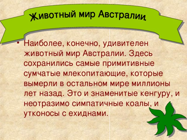 Наиболее, конечно, удивителен животный мир Австралии. Здесь сохранились самые примитивные сумчатые млекопитающие, которые вымерли в остальном мире миллионы лет назад. Это и знаменитые кенгуру, и неотразимо симпатичные коалы, и утконосы с ехиднами. 