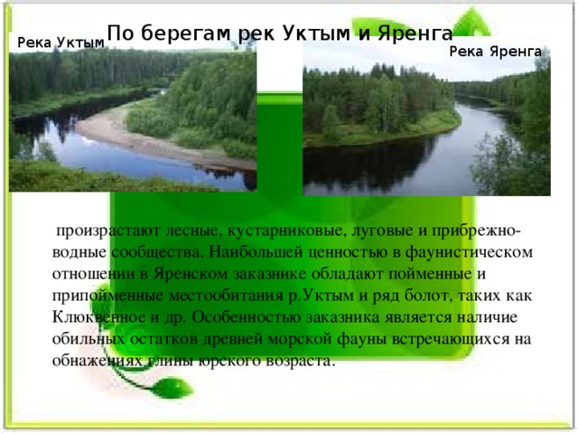 По берегам рек Уктым и Яренга  произрастают лесные, кустарниковые, луговые и прибрежно-водные сообщества. Наибольшей ценностью в фаунистическом отношении в Яренском заказнике обладают пойменные и припойменные местообитания р.Уктым и ряд болот, таких как Клюквенное и др. Особенностью заказника является наличие обильных остатков древней морской фауны встречающихся на обнажениях глины юрского возраста.   Река Уктым Река Яренга 