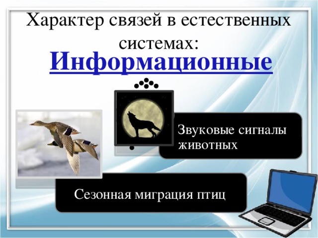 Характер связей в естественных системах: Информационные Звуковые сигналы животных Сезонная миграция птиц 