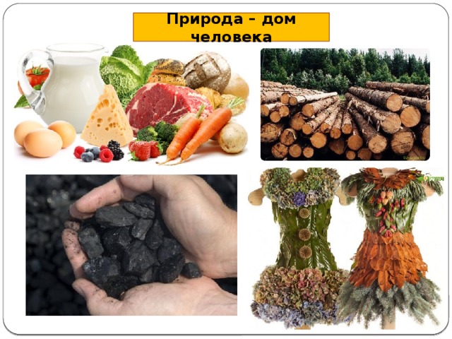 Природа – дом человека 