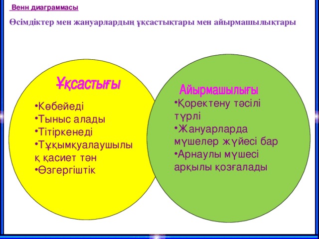 Диаграмма деген не 1 сынып