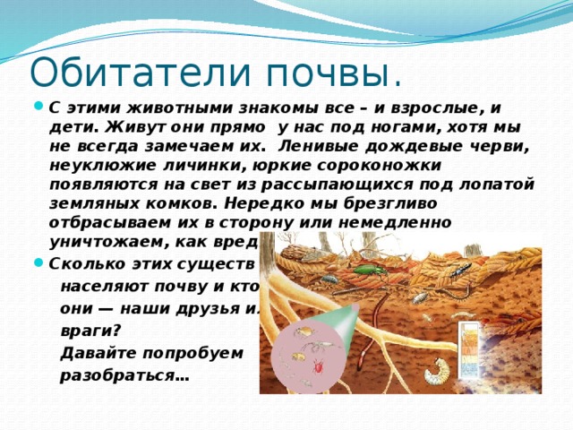 Обитатели почвы. С этими животными знакомы все – и взрослые, и дети. Живут они прямо у нас под ногами, хотя мы не всегда замечаем их. Ленивые дождевые черви, неуклюжие личинки, юркие сороконожки появляются на свет из рассыпающихся под лопатой земляных комков. Нередко мы брезгливо отбрасываем их в сторону или немедленно уничтожаем, как вредителей огородных растений. Сколько этих существ  населяют почву и кто  они — наши друзья или  враги?  Давайте попробуем  разобраться… 