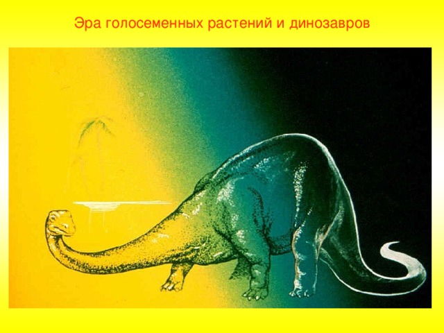 Эра голосеменных растений и динозавров 