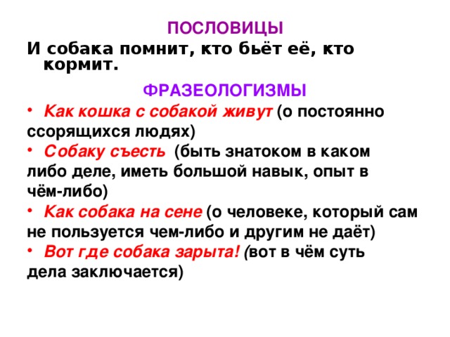 ПОСЛОВИЦЫ И собака помнит, кто бьёт её, кто кормит. ФРАЗЕОЛОГИЗМЫ Как кошка с собакой живут (о постоянно ссорящихся людях) Собаку съесть (быть знатоком в каком либо деле, иметь большой навык, опыт в чём-либо) Как собака на сене (о человеке, который сам не пользуется чем-либо и другим не даёт) Вот где собака зарыта! ( вот в чём суть дела заключается)    