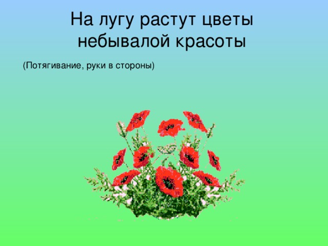 На лугу растут цветы  небывалой красоты    (Потягивание, руки в стороны) 