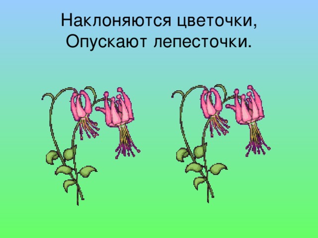 Наклоняются цветочки,  Опускают лепесточки. 