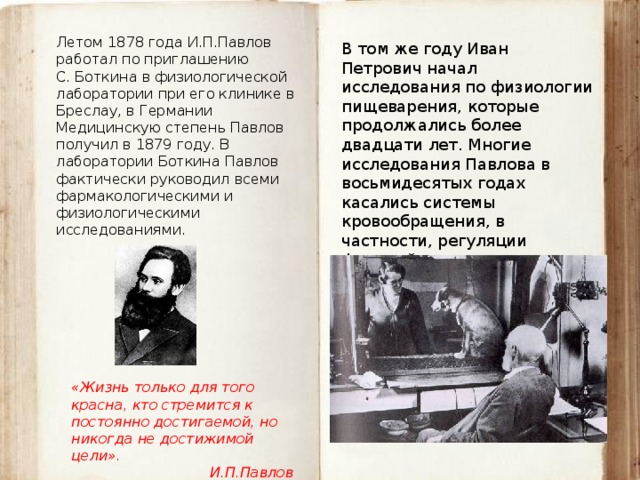 Летом 1878 года И.П.Павлов работал по приглашению С. Боткина в физиологической лаборатории при его клинике в Бреслау, в Германии Медицинскую степень Павлов получил в 1879 году. В лаборатории Боткина Павлов фактически руководил всеми фармакологическими и физиологическими исследованиями. В том же году Иван Петрович начал исследования по физиологии пищеварения, которые продолжались более двадцати лет. Многие исследования Павлова в восьмидесятых годах касались системы кровообращения, в частности, регуляции функций сердца и кровяного давления. «Жизнь только для того красна, кто стремится к постоянно достигаемой, но никогда не достижимой цели». И.П.Павлов 
