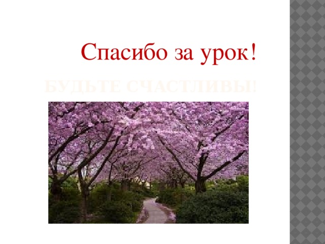 Спасибо за урок! Будьте счастливы! 