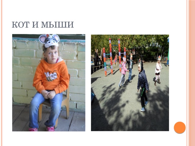 Кот и мыши 