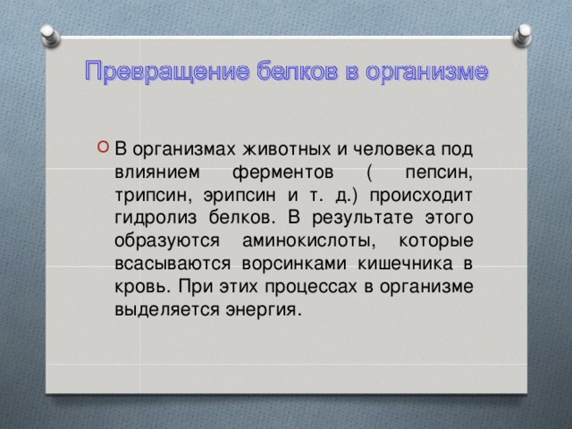 В организмах животных и человека под влиянием ферментов ( пепсин, трипсин, эрипсин и т. д.) происходит гидролиз белков. В результате этого образуются аминокислоты, которые всасываются ворсинками кишечника в кровь. При этих процессах в организме выделяется энергия.  
