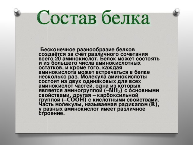  Бесконечное разнообразие белков создаётся за счёт различного сочетания всего 20 аминокислот. Белок может состоять и из большего числа аминокислотных остатков, и кроме того, каждая аминокислота может встречаться в белке несколько раз. Молекула аминокислоты состоит из двух одинаковых для всех аминокислот частей, одна из которых является аминогруппой (– NH 2 ) с основными свойствами, другая – карбоксильной группой (– COOH) с кислотными свойствами. Часть молекулы, называемая радикалом ( R) , у разных аминокислот имеет различное строение.    
