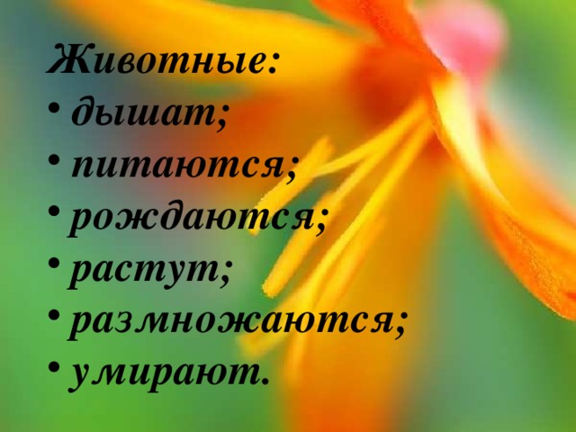 Животные:  дышат;  питаются;  рождаются;  растут;  размножаются;  умирают. 