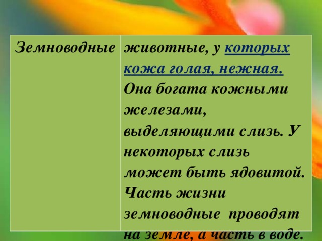 Земноводные животные, у которых кожа голая, нежная. Она богата кожными железами, выделяющими слизь. У некоторых слизь может быть ядовитой. Часть жизни земноводные проводят на земле, а часть в воде. 