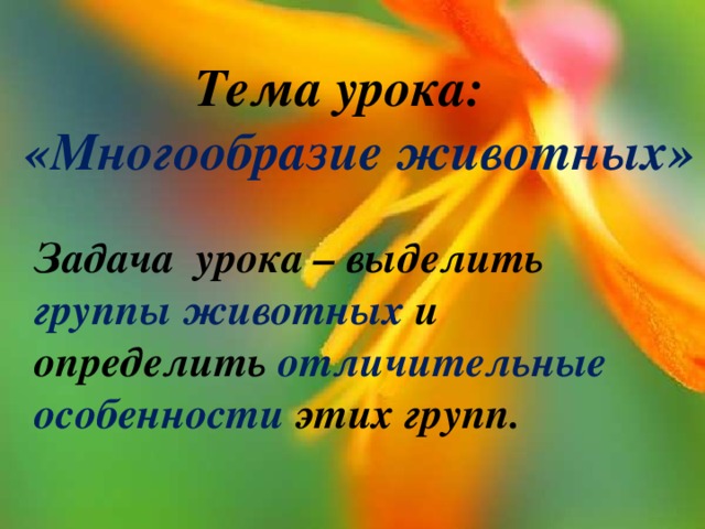Тема урока:  «Многообразие животных» Задача урока – выделить группы животных и определить отличительные особенности этих групп. 