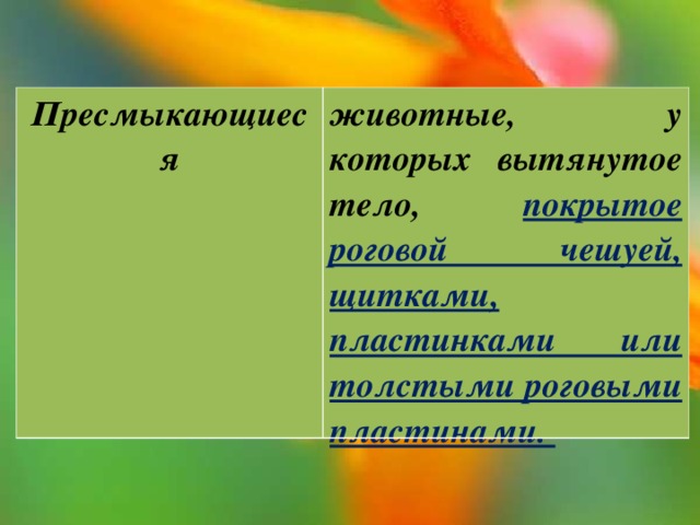 Пресмыкающиеся животные, у которых вытянутое тело, покрытое роговой чешуей, щитками, пластинками или толстыми роговыми пластинами. 