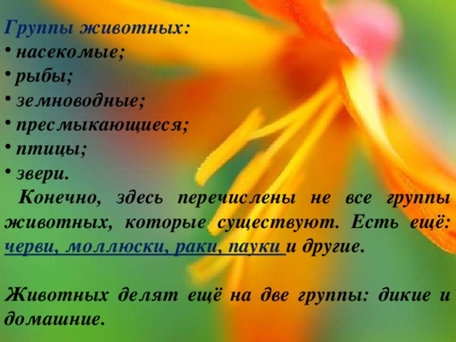 Группы животных:  насекомые;  рыбы;  земноводные;  пресмыкающиеся;  птицы;  звери.  Конечно, здесь перечислены не все группы животных, которые существуют. Есть ещё: черви, моллюски, раки, пауки и другие.  Животных делят ещё на две группы: дикие и домашние. 