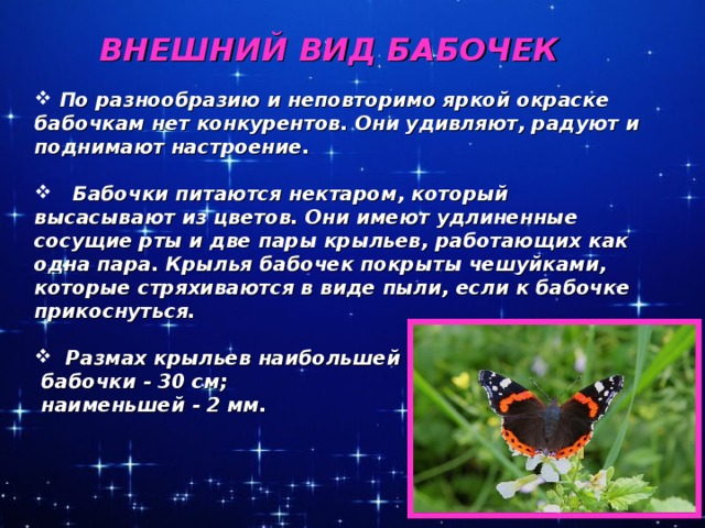 ВНЕШНИЙ ВИД БАБОЧЕК   По разнообразию и неповторимо яркой окраске бабочкам нет конкурентов. Они удивляют, радуют и поднимают настроение.   Бабочки питаются нектаром, который высасывают из цветов. Они имеют удлиненные сосущие рты и две пары крыльев, работающих как одна пара. Крылья бабочек покрыты чешуйками, которые стряхиваются в виде пыли, если к бабочке прикоснуться.    Размах крыльев наибольшей  бабочки - 30 см;  наименьшей - 2 мм.