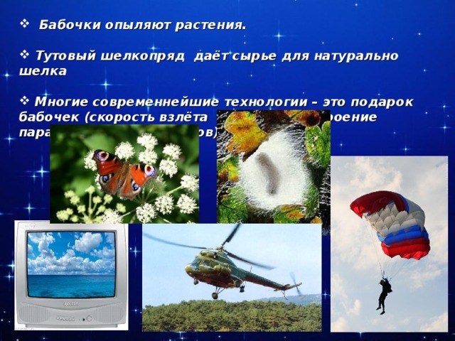 Бабочки опыляют растения.   Тутовый шелкопряд даёт сырье для натурально шелка   Многие современнейшие технологии – это подарок бабочек (скорость взлёта вертолётов, строение парашютов и телевизоров)