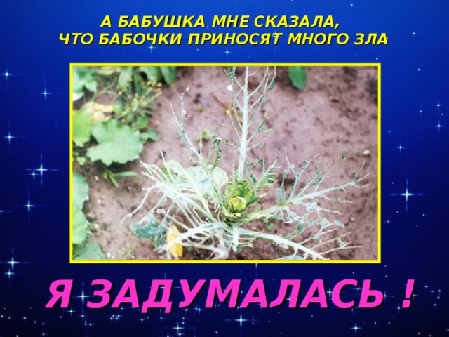 А БАБУШКА МНЕ СКАЗАЛА, ЧТО БАБОЧКИ ПРИНОСЯТ МНОГО ЗЛА Я ЗАДУМАЛАСЬ !
