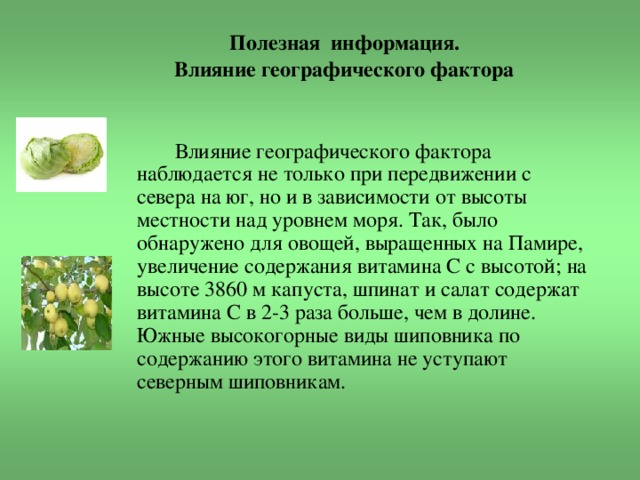  Полезная информация.  Влияние географического фактора  Влияние географического фактора наблюдается не только при передвижении с севера на юг, но и в зависимости от высоты местности над уровнем моря. Так, было обнаружено для овощей, выращенных на Памире, увеличение содержания витамина С с высотой; на высоте 3860 м капуста, шпинат и салат содержат витамина С в 2-3 раза больше, чем в долине. Южные высокогорные виды шиповника по содержанию этого витамина не уступают северным шиповникам. 