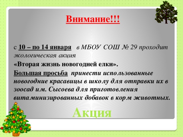 Внимание!!! с 10 – по 14 января  в МБОУ СОШ № 29 проходит экологическая акция  «Вторая жизнь новогодней елки». Большая просьба  принести использованные новогодние красавицы в школу для отправки их в зоосад им. Сысоева для приготовления витаминизированных добавок в корм животных. Акция 