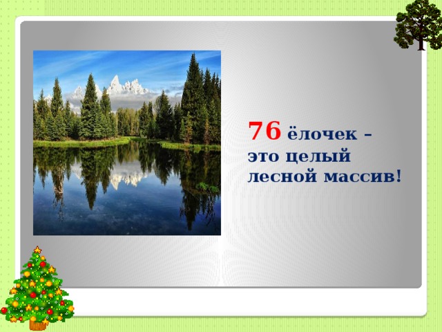 76 ёлочек – это целый лесной массив! 