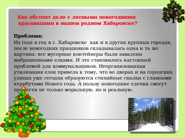 Как обстоит дело с лесными новогодними красавицами в нашем родном Хабаровске?  Проблема: Из года в год в г. Хабаровске как и в других крупных городах, после новогодних праздников складывалась одна и та же картина: все мусорные контейнеры были завалены выброшенными елками. И это становилось настоящей проблемой для коммунальщиков. Неорганизованная утилизация елок привела к тому, что во дворах и на городских улицах уже сегодня образуются стихийные свалки с главными атрибутами Нового года. А пользу новогодние елочки смогут принести не только моральную, но и реальную.   