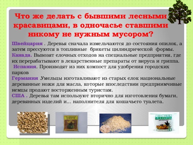 Что же делать с бывшими лесными красавицами, в одночасье ставшими никому не нужным мусором? Швейцария  . Деревья сначала измельчаются до состояния опилок, а затем прессуются в топливные брикеты цилиндрической формы. Канада. Вывозят елочных отходов на специальные предприятия, где их перерабатывают в лекарственные препараты от вируса и гриппа.  Испания . Производят из них компост для удобрения городских парков Германия . Умельцы изготавливают из старых елок национальные деревянные ножи для масла, которые впоследствии предприимчивые немцы продают восторженным туристам. США . Деревья там используют вторично для изготовления бумаги, деревянных изделий и... наполнителя для кошачьего туалета. 
