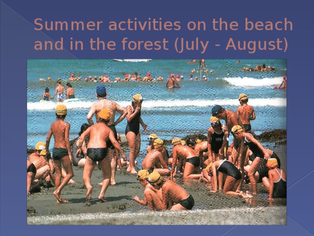 Summer activities on the beach and in the forest (July - August) 
