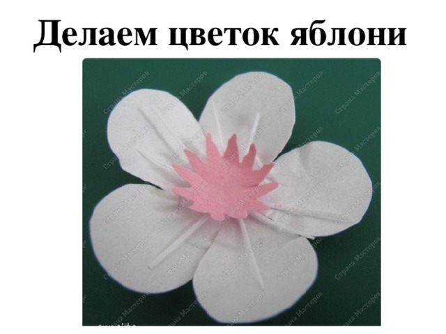 Делаем цветок яблони 