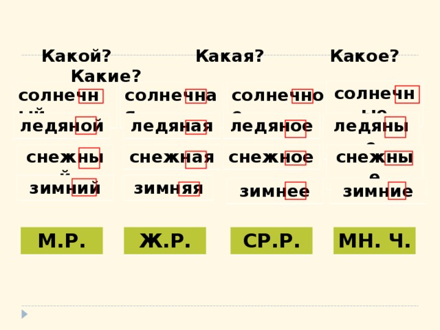   Какой? Какая? Какое? Какие? солнечные солнечный солнечное солнечная ледяное ледяные ледяной ледяная снежные снежное снежная снежный зимняя зимний зимние зимнее СР.Р. М.Р. Ж.Р. МН. Ч. 