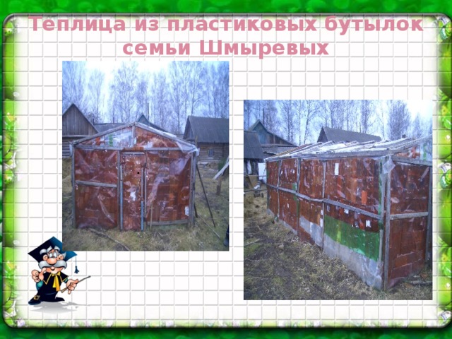 Теплица из пластиковых бутылок семьи Шмыревых   .