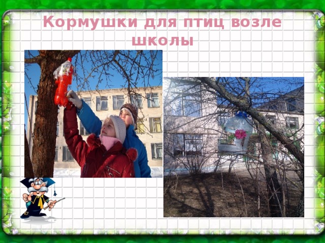 Кормушки для птиц возле школы