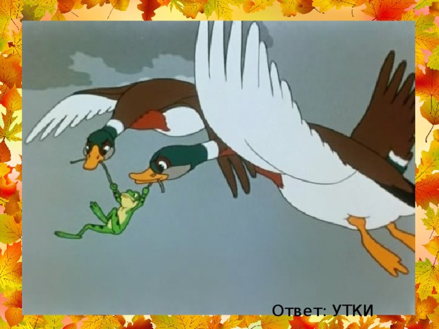 Ответ: УТКИ 
