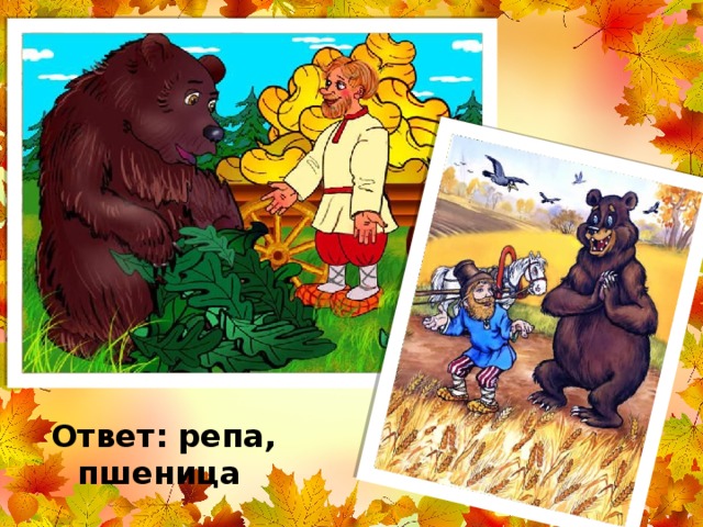 Ответ: репа, пшеница 