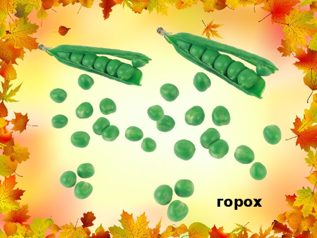 горох 