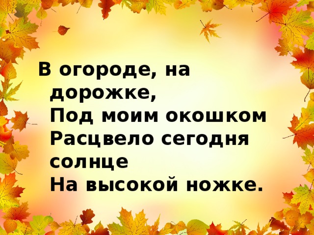 В огороде, на дорожке,  Под моим окошком  Расцвело сегодня солнце  На высокой ножке. 